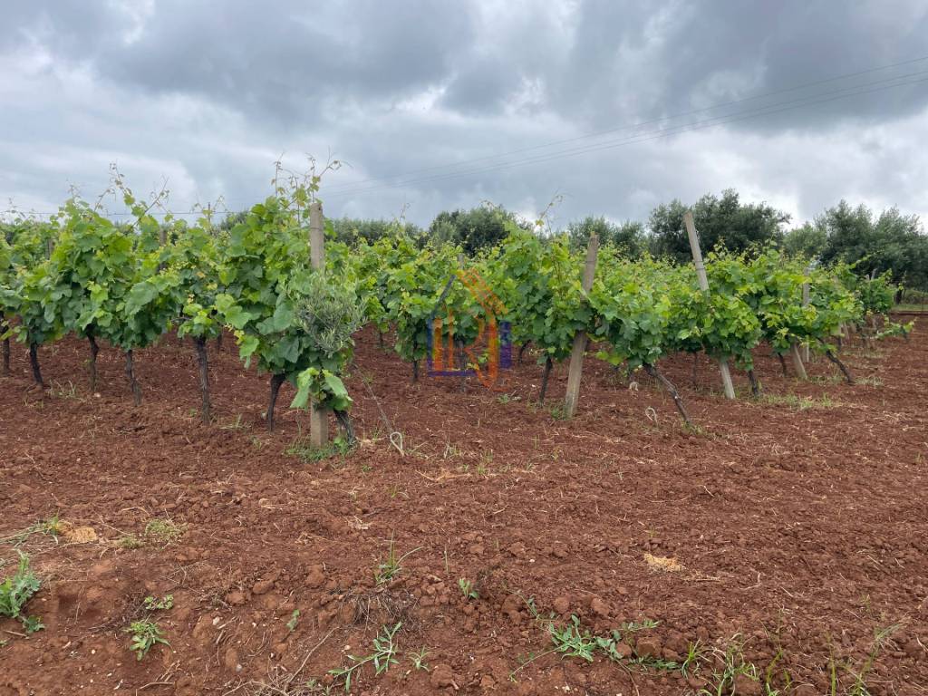 Terreno a Lamezia terme in Via Raoul Morelli - Foto 3