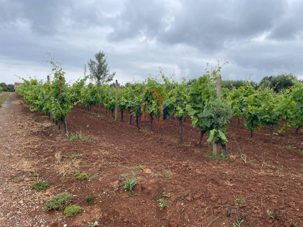 Terreno a Lamezia terme in Via Raoul Morelli - Foto 4