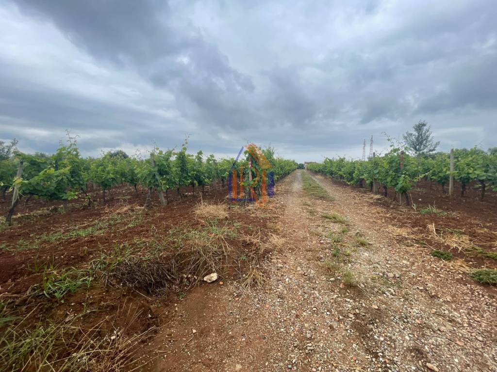 Terreno a Lamezia terme in Via Raoul Morelli - Foto 5