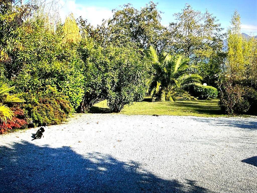 Rustico / casale a Pietrasanta - Foto 2
