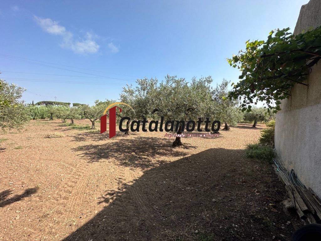 Terreno a Castelvetrano in Contrada Fontanelle - Foto 2