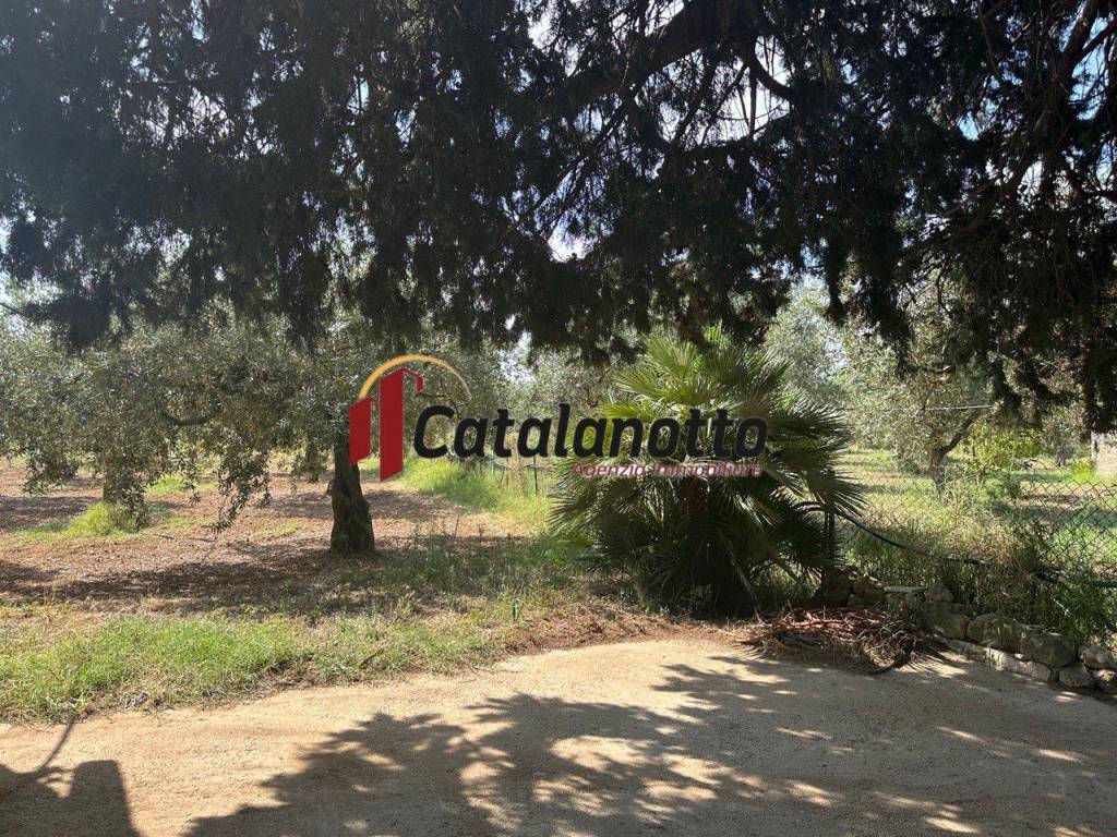 Terreno a Castelvetrano in Contrada Fontanelle - Foto 4