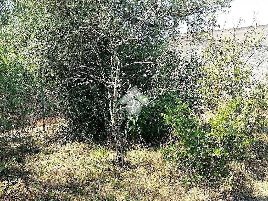 Rustico / casale a Sorso in Regione Funtana Niedda - Foto 5