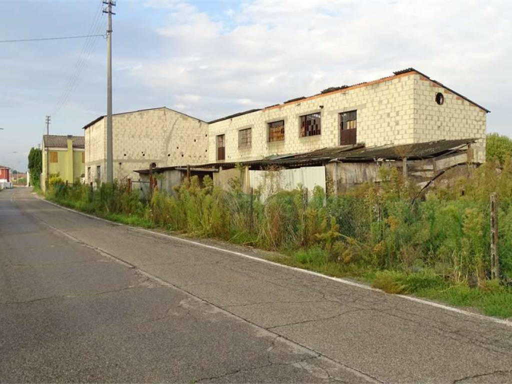 Terreno a Casaleone in via oppi - Foto 2