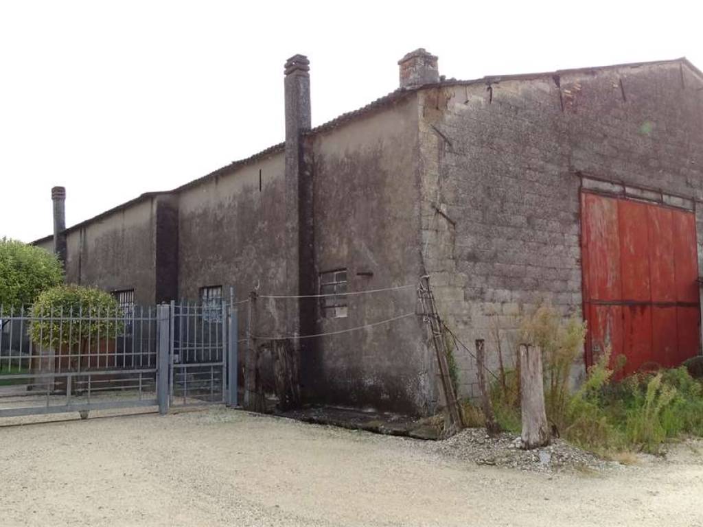 Terreno a Casaleone in via oppi - Foto 5