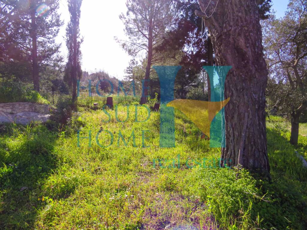 Villetta a schiera a Noto in Via Tommaso Fazello, 228 - Foto 2