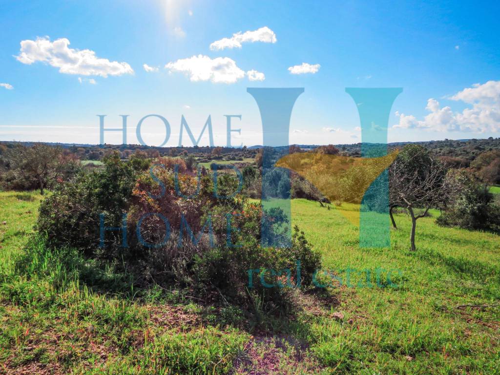 Rustico / casale a Noto - Foto 2