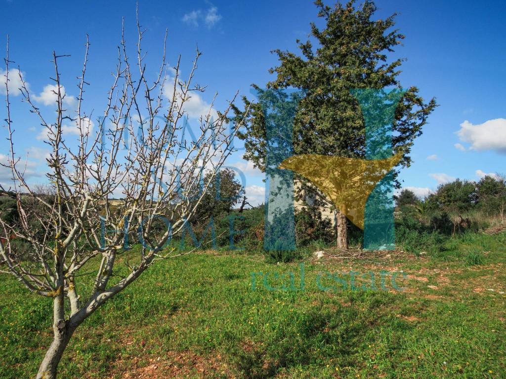 Rustico / casale a Noto - Foto 3