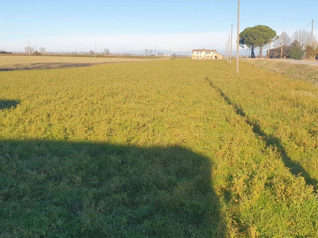 Rustico / casale a Gaiba in Via Argine Valle - Foto 3