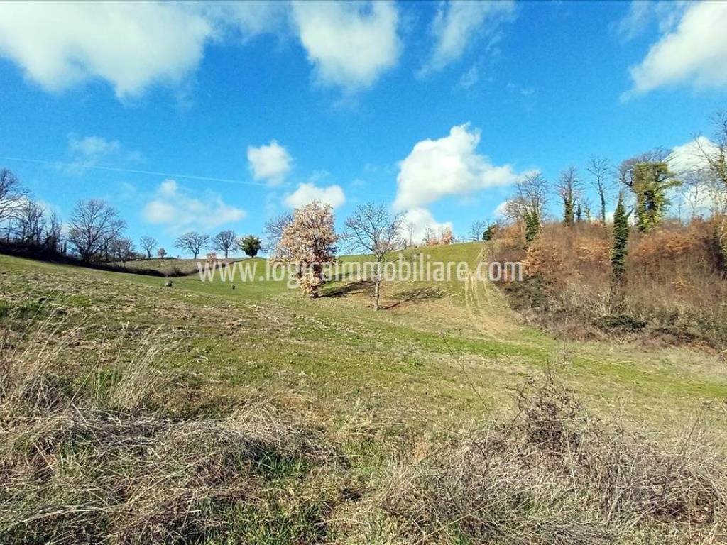 Rustico / casale a Porano in Via Corniolo - Foto 5