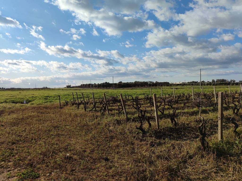 Terreno a Brindisi in Strada Statale 16 - Foto 5