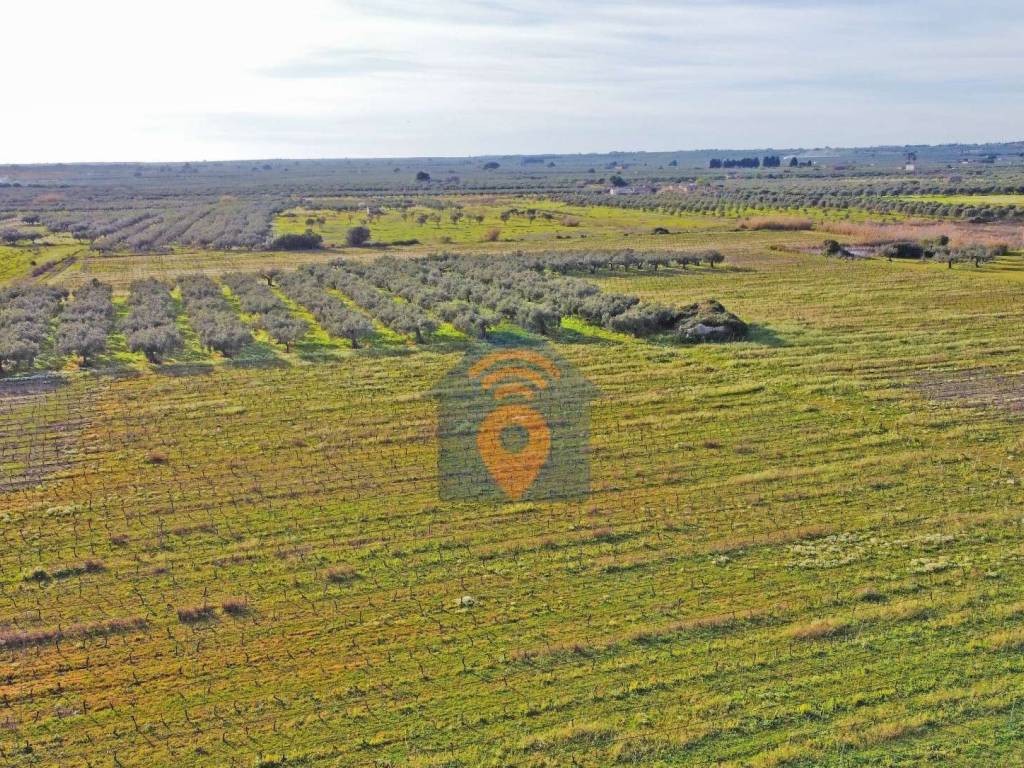 Terreno a Castelvetrano in contrada Bresciana - Foto 2