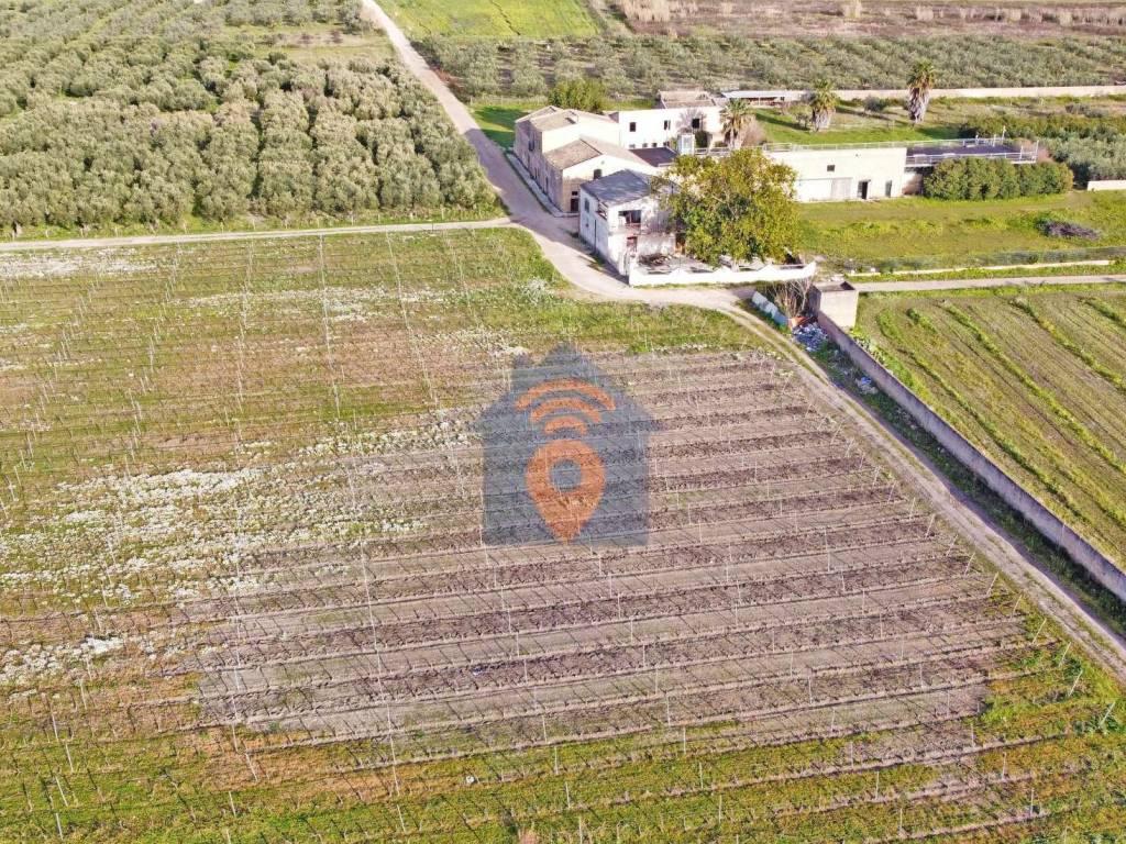 Terreno a Castelvetrano in contrada Bresciana - Foto 3
