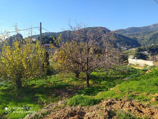Terreno a Ventimiglia in Via alle Ville - Foto 4