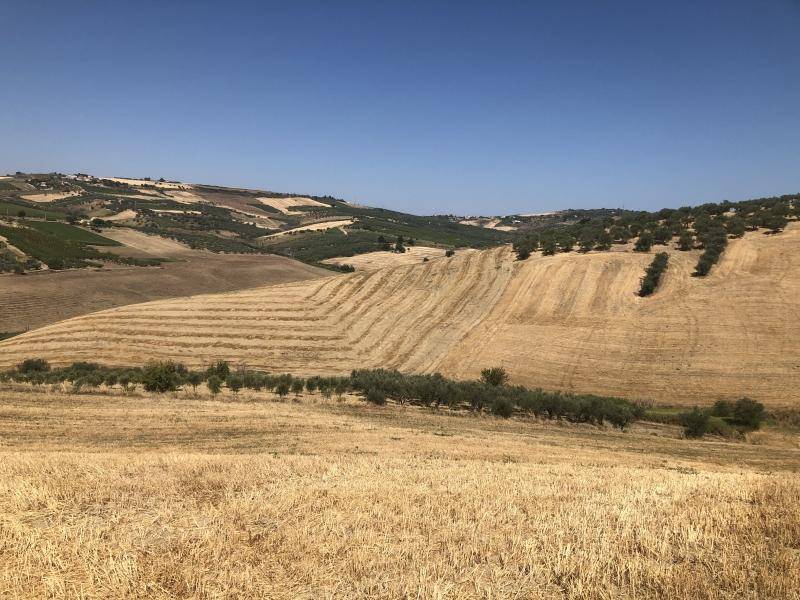 Terreno a Vasto - Foto 2