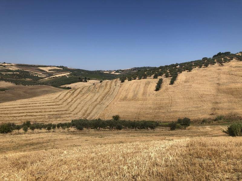 Terreno a Vasto - Foto 3