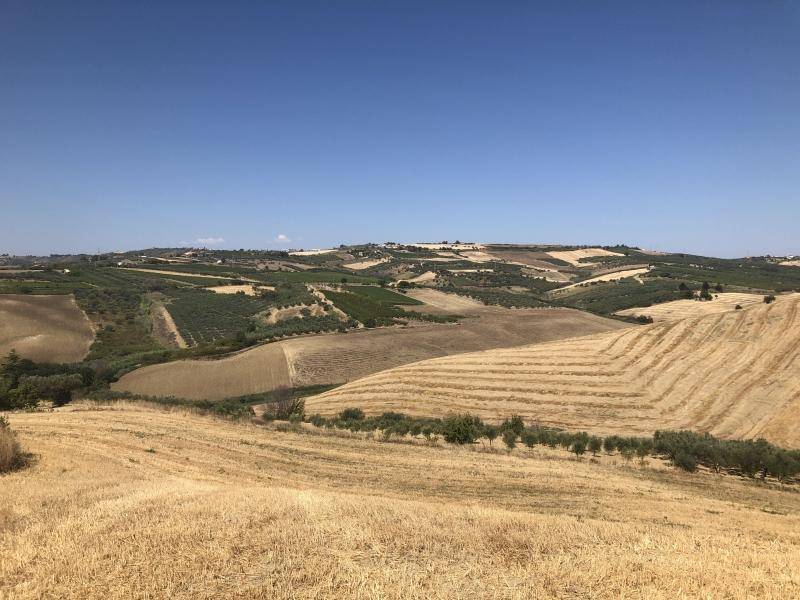 Terreno a Vasto - Foto 4