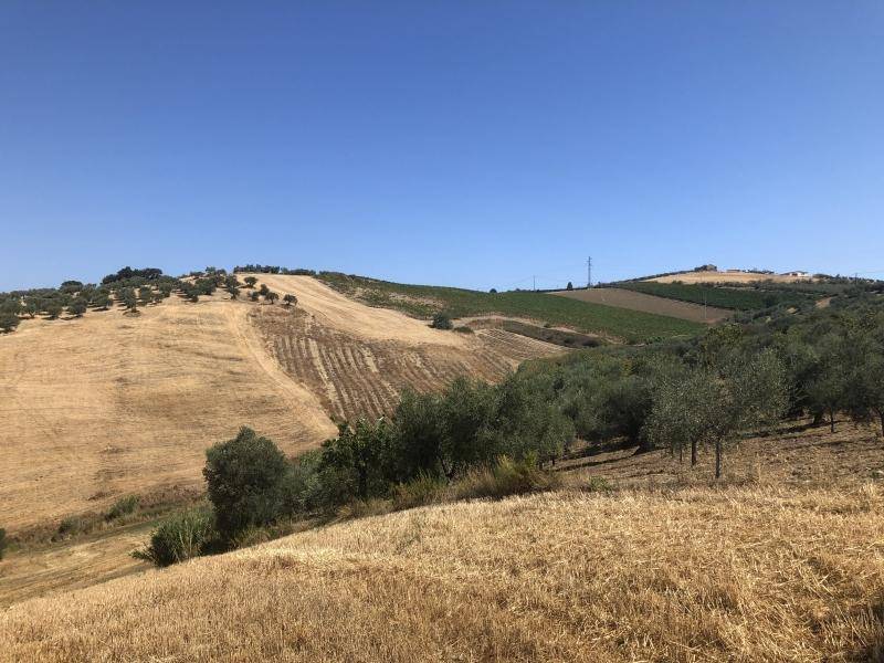Terreno a Vasto - Foto 5