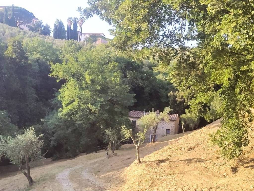 Rustico / casale a Lamporecchio - Foto 2