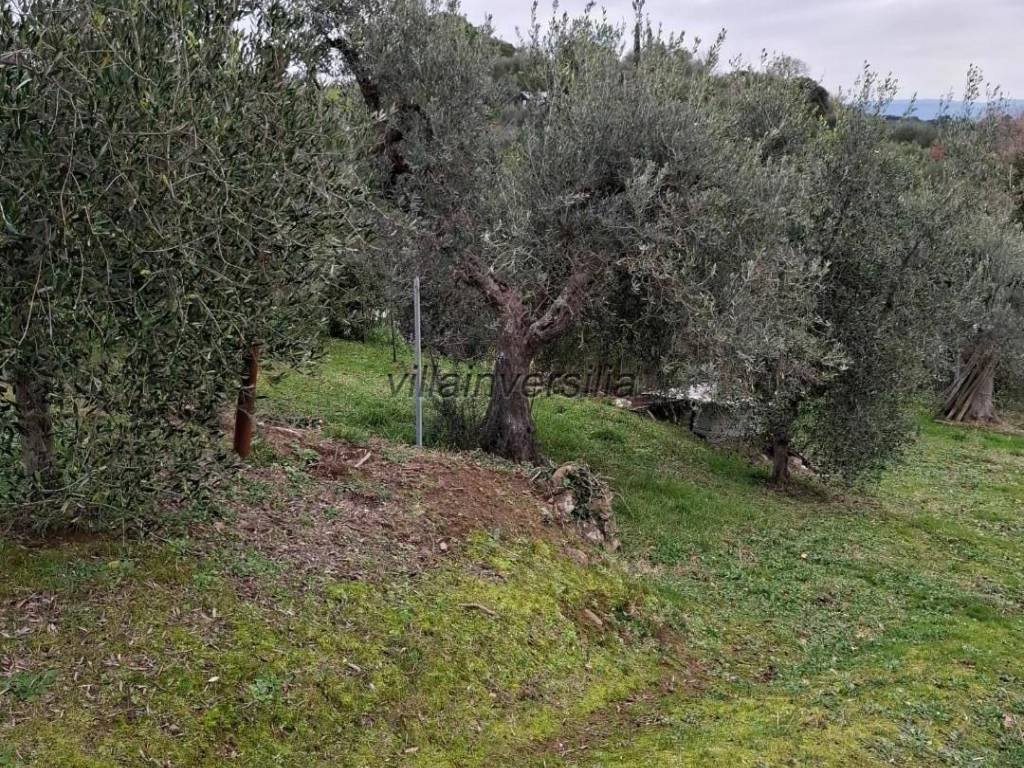 Casa indipendente a Magliano in toscana - Foto 2