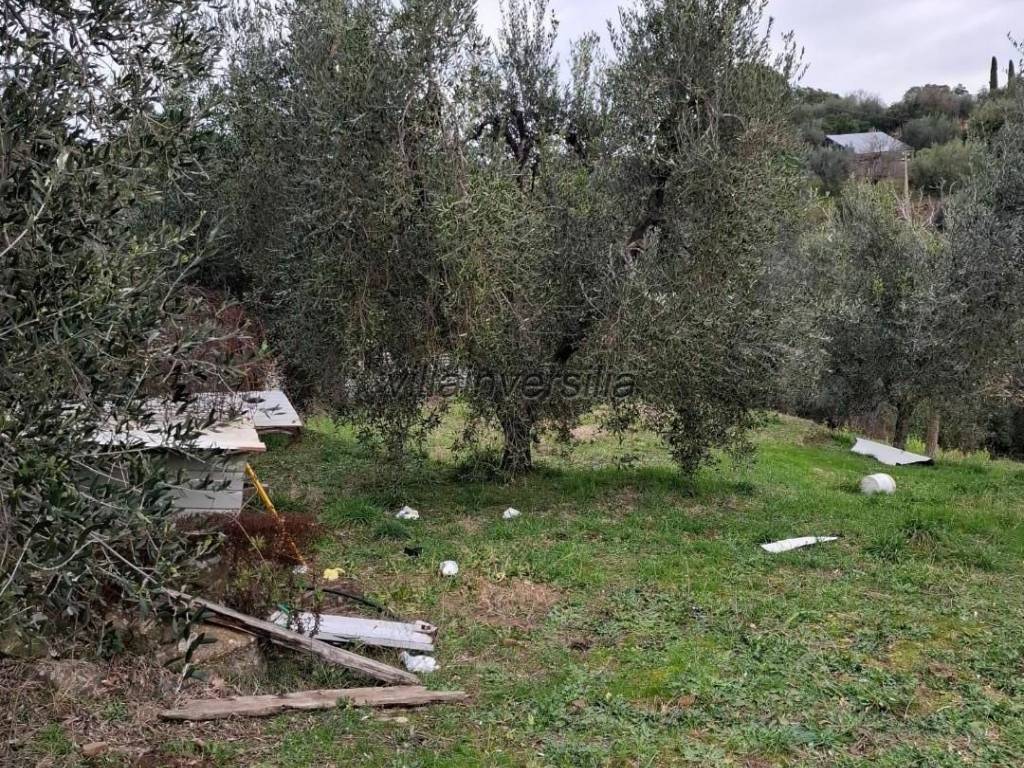 Casa indipendente a Magliano in toscana - Foto 3