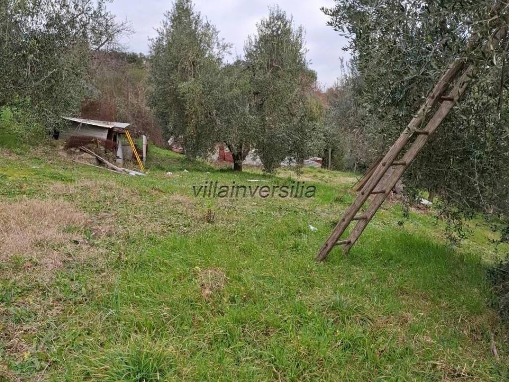 Casa indipendente a Magliano in toscana - Foto 4