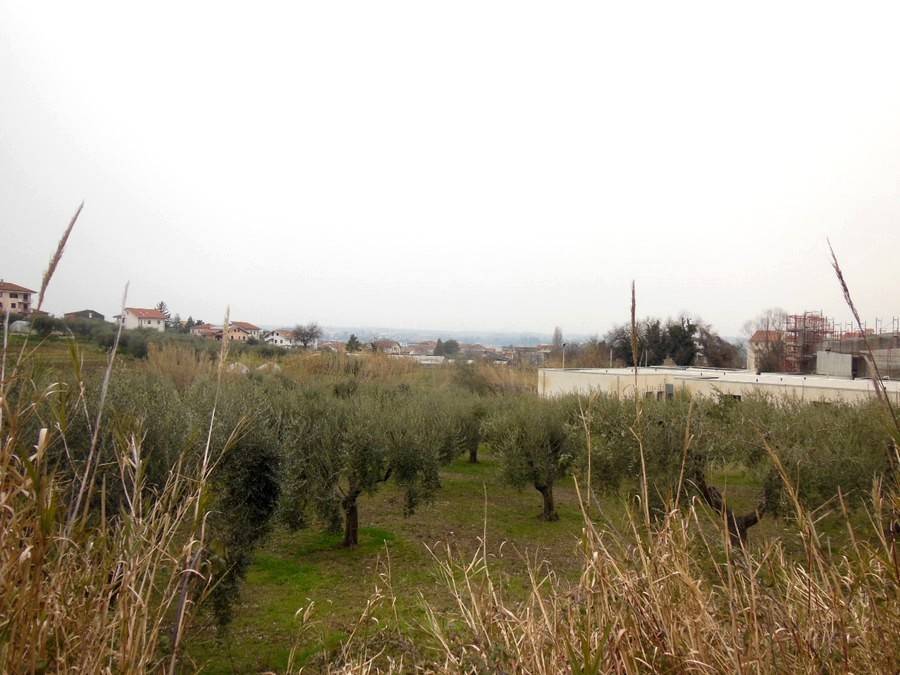 Terreno a Chieti in Via Pasquale Borrelli - Foto 5