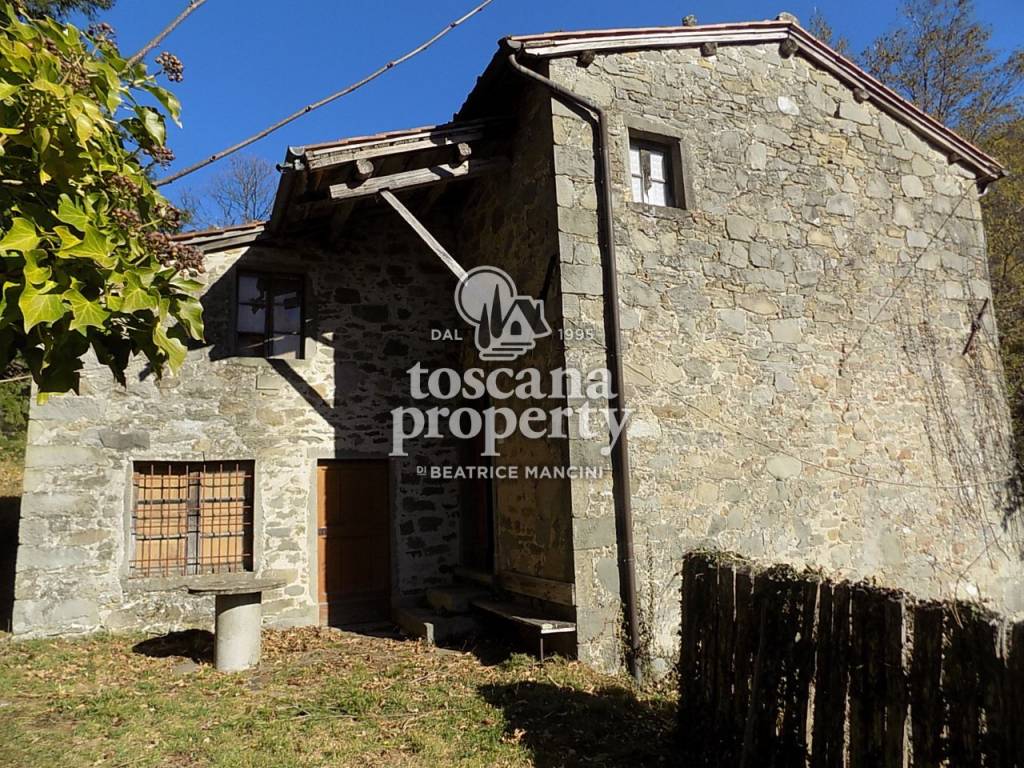 Rustico / casale a Barga - Foto 2