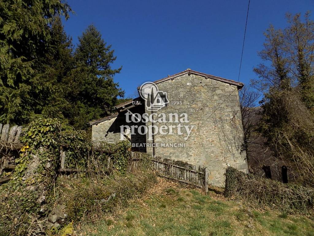 Rustico / casale a Barga - Foto 3