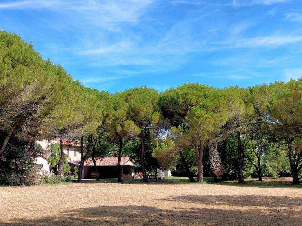 Rustico / casale a Jesolo - Foto 5