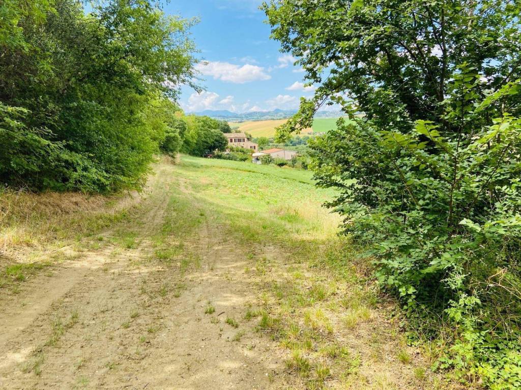 Rustico / casale a Belvedere ostrense in Via Butano - Foto 3