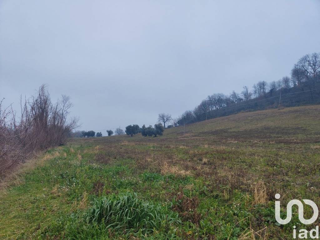 Terreno a Montefiore dell'aso in Strada SAN GIOVANNI - Foto 3