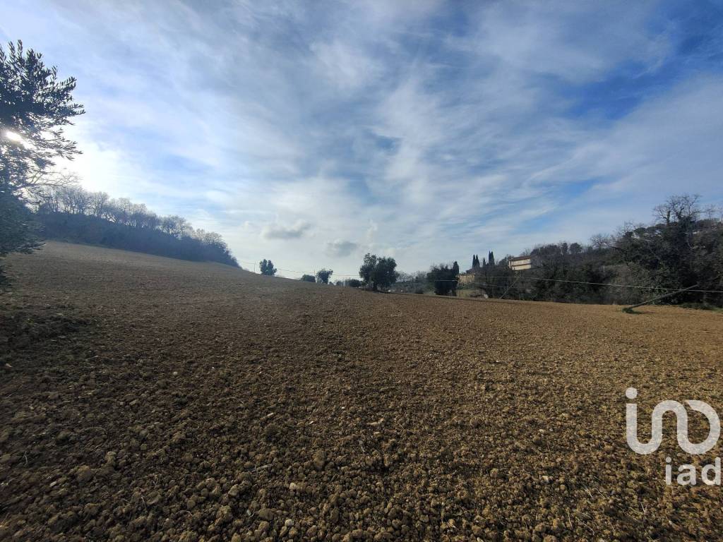 Terreno a Montefiore dell'aso in Strada SAN GIOVANNI - Foto 4