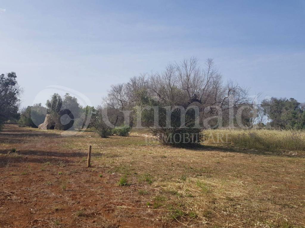 Terreno a Sannicola in contrada camastra, 0 - Foto 4