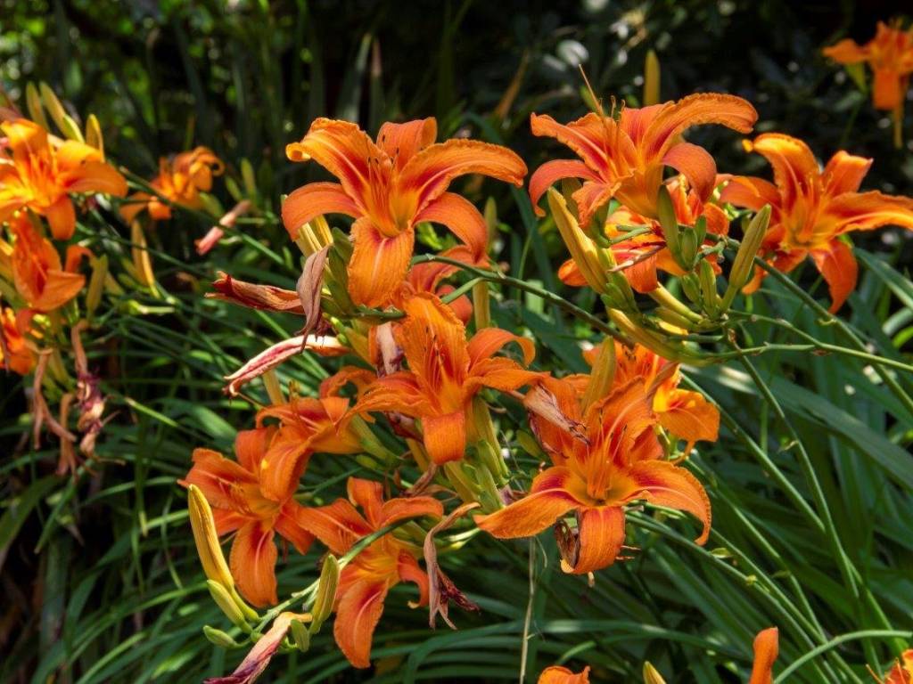 Villa a Biella in Via Gera, 13 - Foto 4