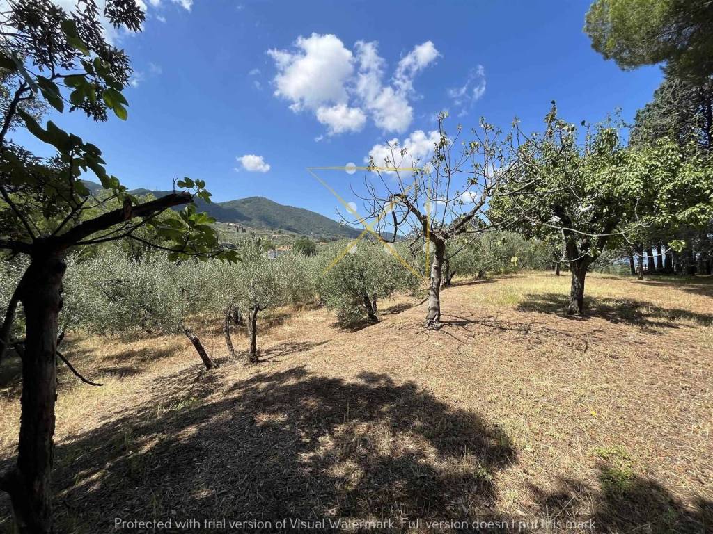 Villa a Quarrata in via asiago, 26 - Foto 3