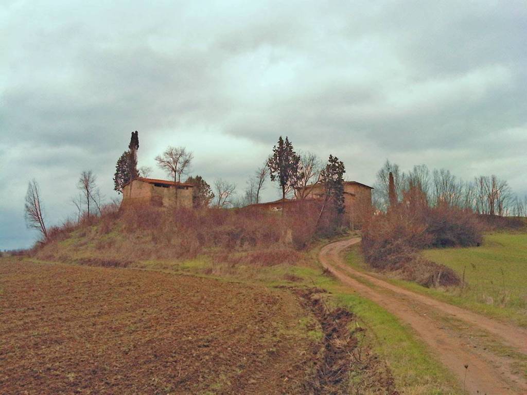 Rustico / casale a Castelnuovo berardenga - Foto 2
