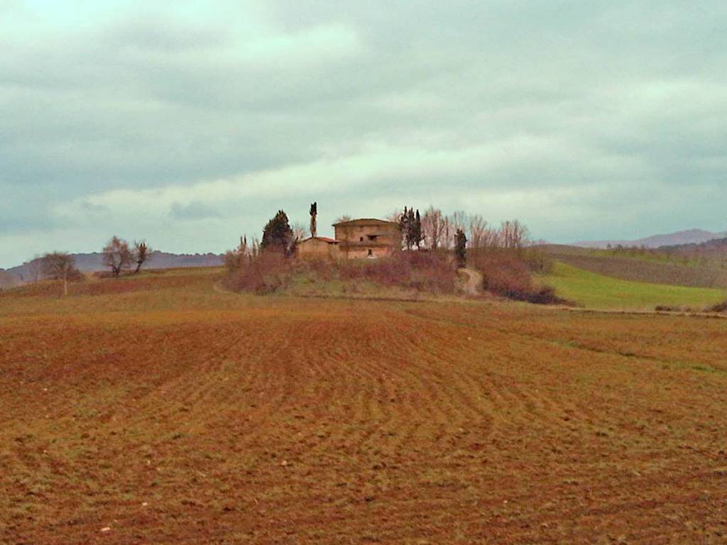 Rustico / casale a Castelnuovo berardenga - Foto 3