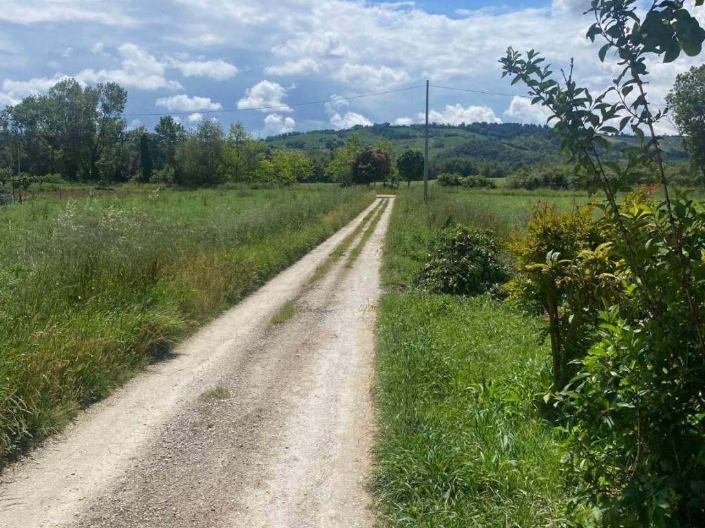 Rustico / casale a Mondolfo - Foto 4