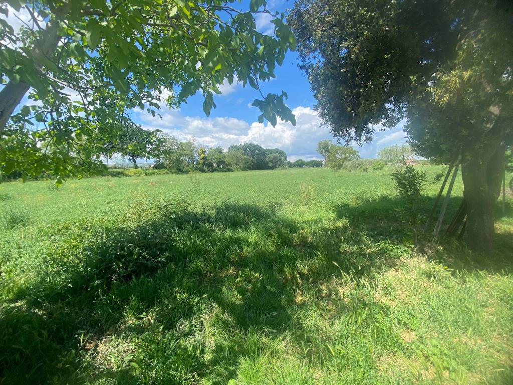 Rustico / casale a Mondolfo - Foto 5