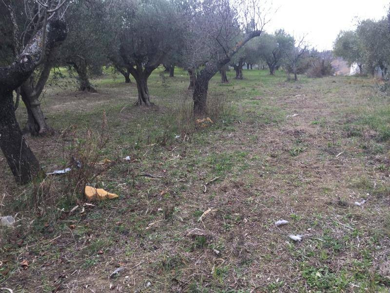 Villa a Cupello - Foto 3