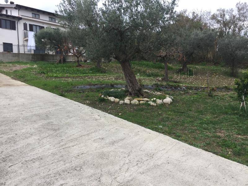Terreno a Cupello - Foto 5