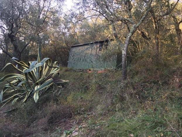 Terreno a San giuliano terme in Via del Tommasone Asciano, , 11 - Foto 2