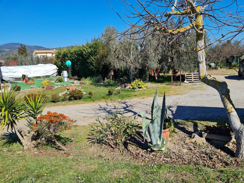 Terreno a Campiglia marittima - Foto 2