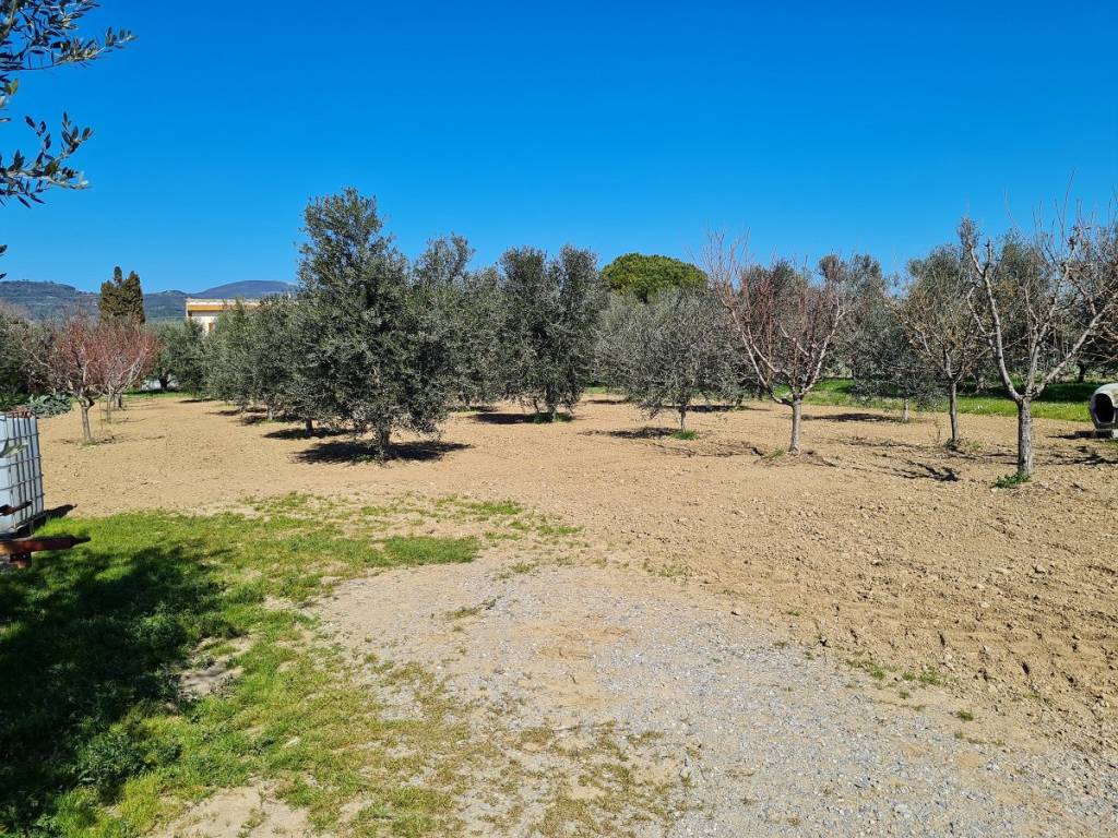 Terreno a Campiglia marittima - Foto 3