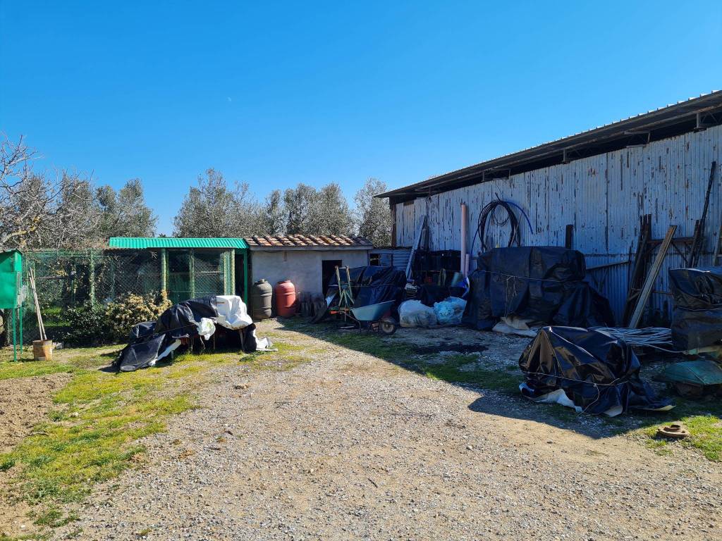 Terreno a Campiglia marittima - Foto 4