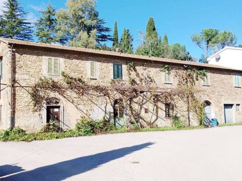 Rustico / casale a Suvereto in BELVEDERE - Foto 3