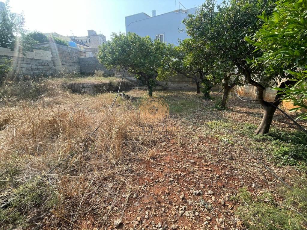 Terreno a Alessano in Via Luigi Pirandello - Foto 5