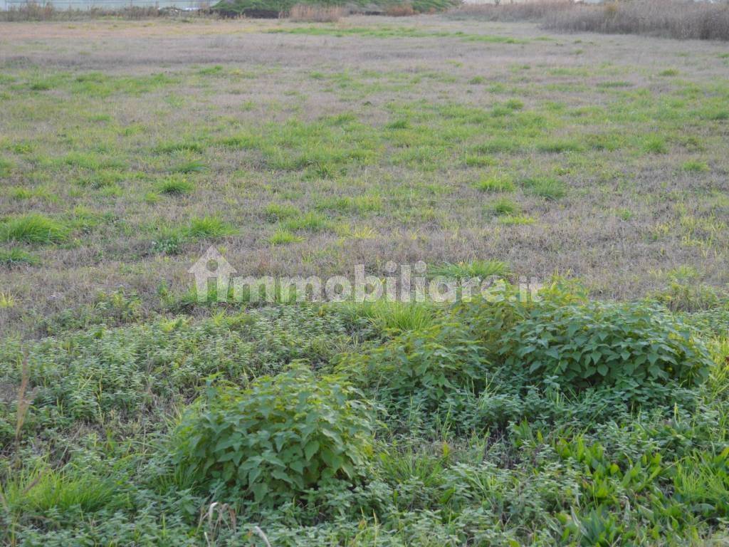 Terreno a Buttapietra - Foto 2
