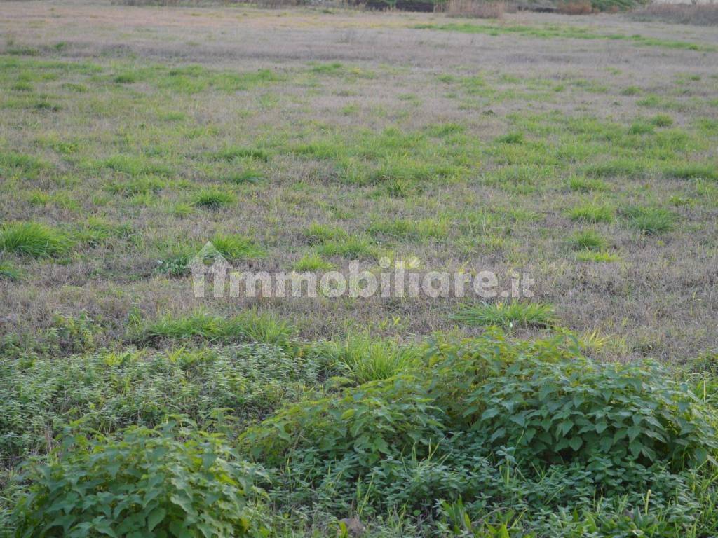 Terreno a Buttapietra - Foto 3